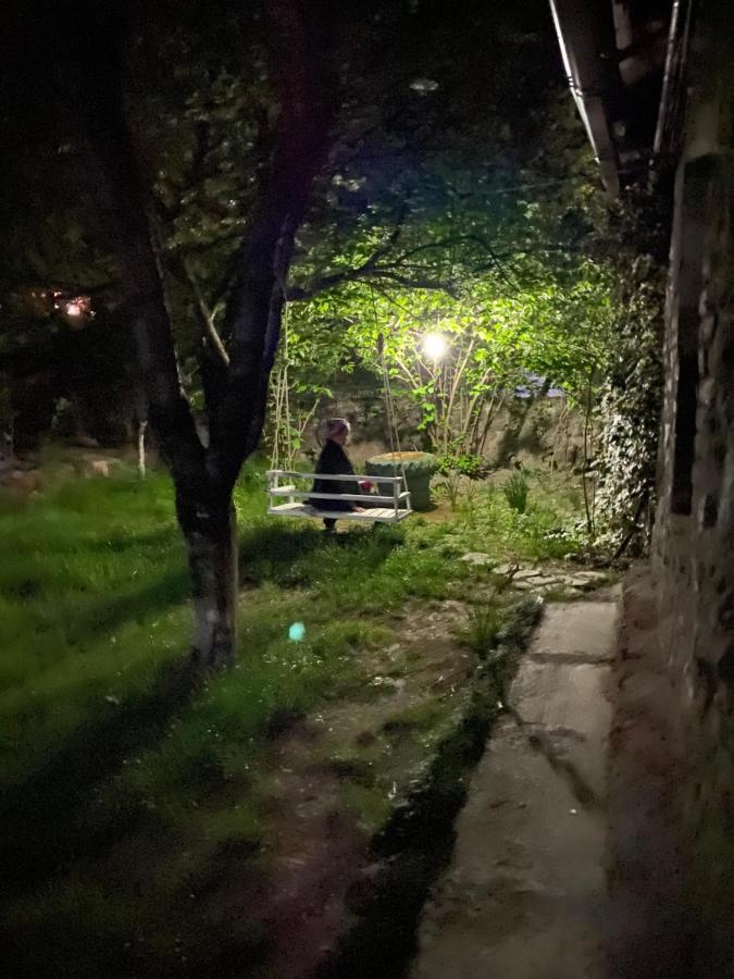 Ludwig Guesthouse Lagodekhi Buitenkant foto