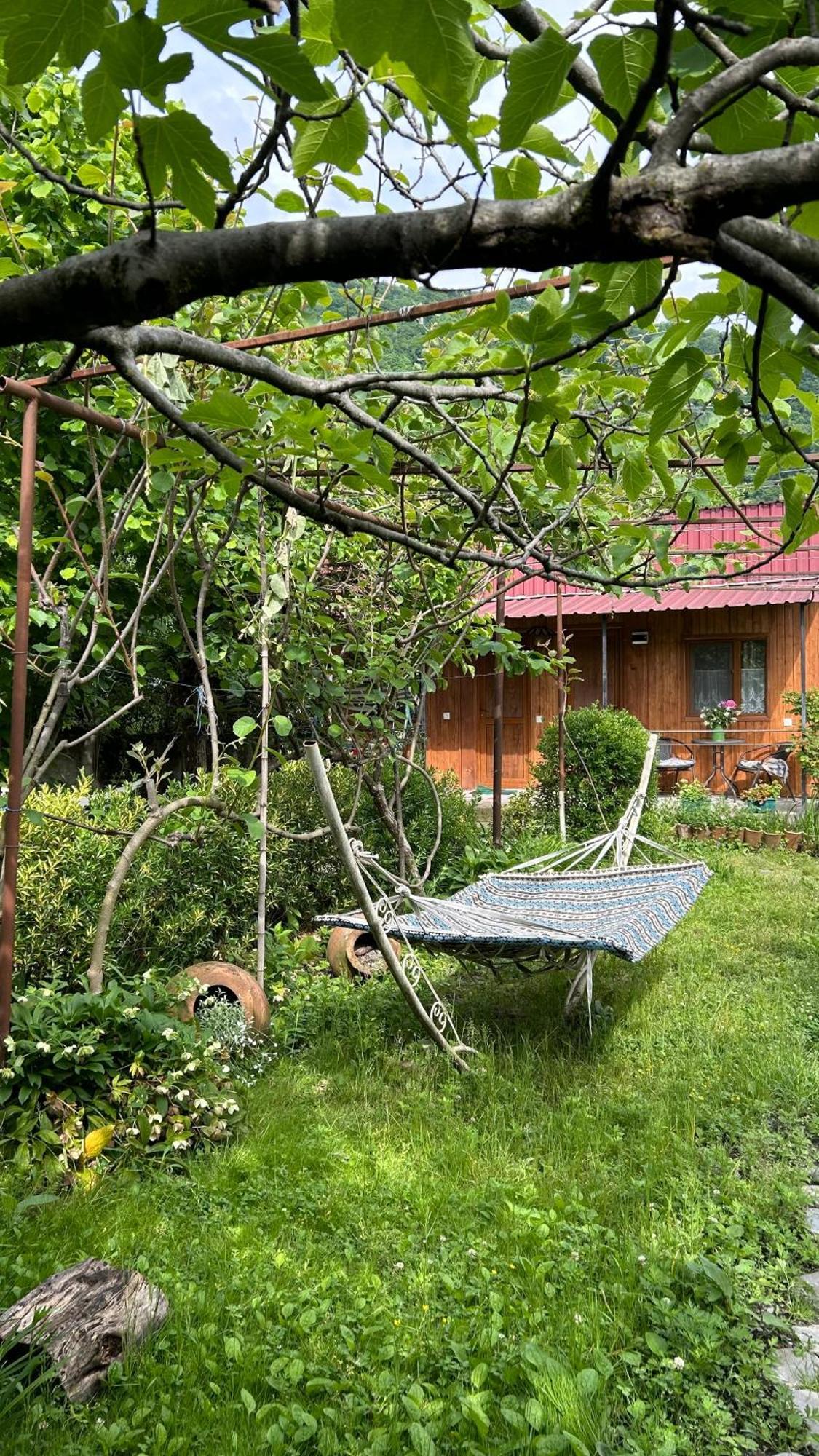 Ludwig Guesthouse Lagodekhi Buitenkant foto