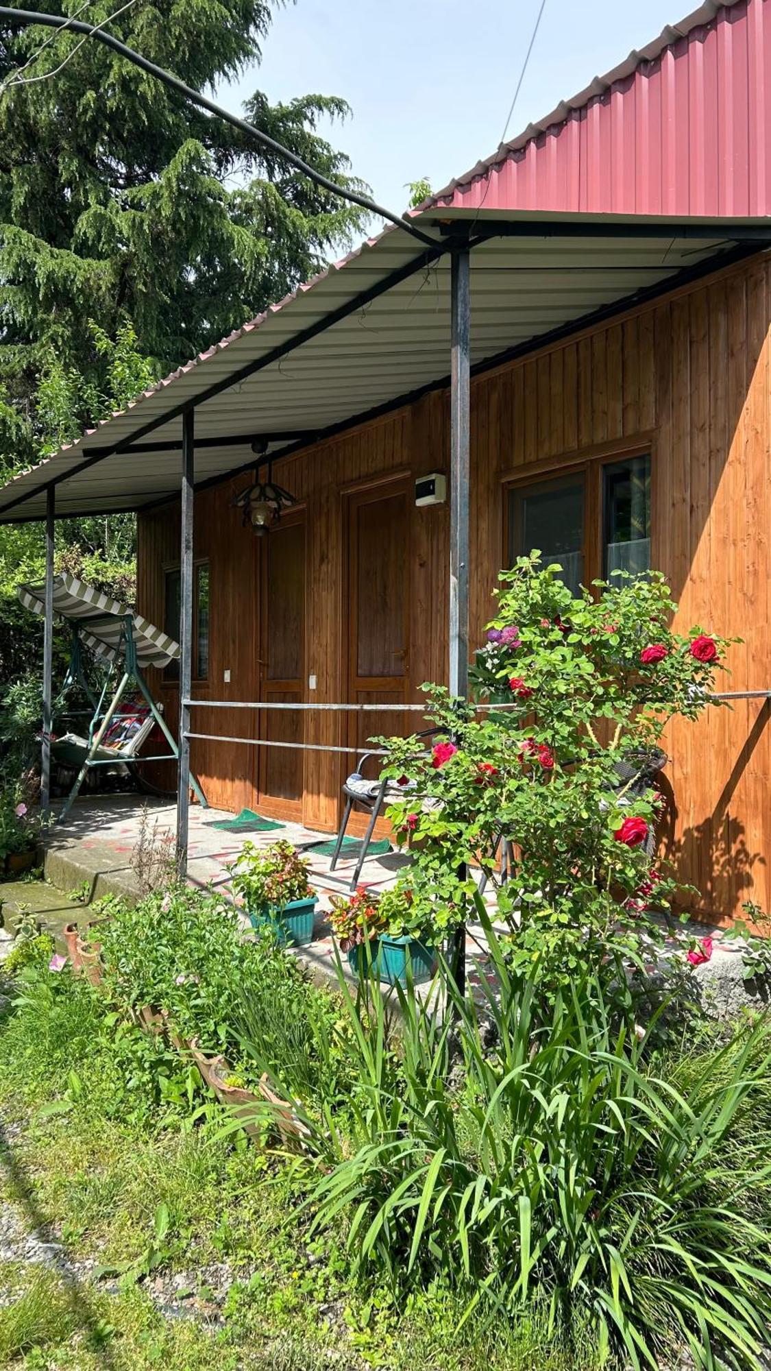 Ludwig Guesthouse Lagodekhi Buitenkant foto