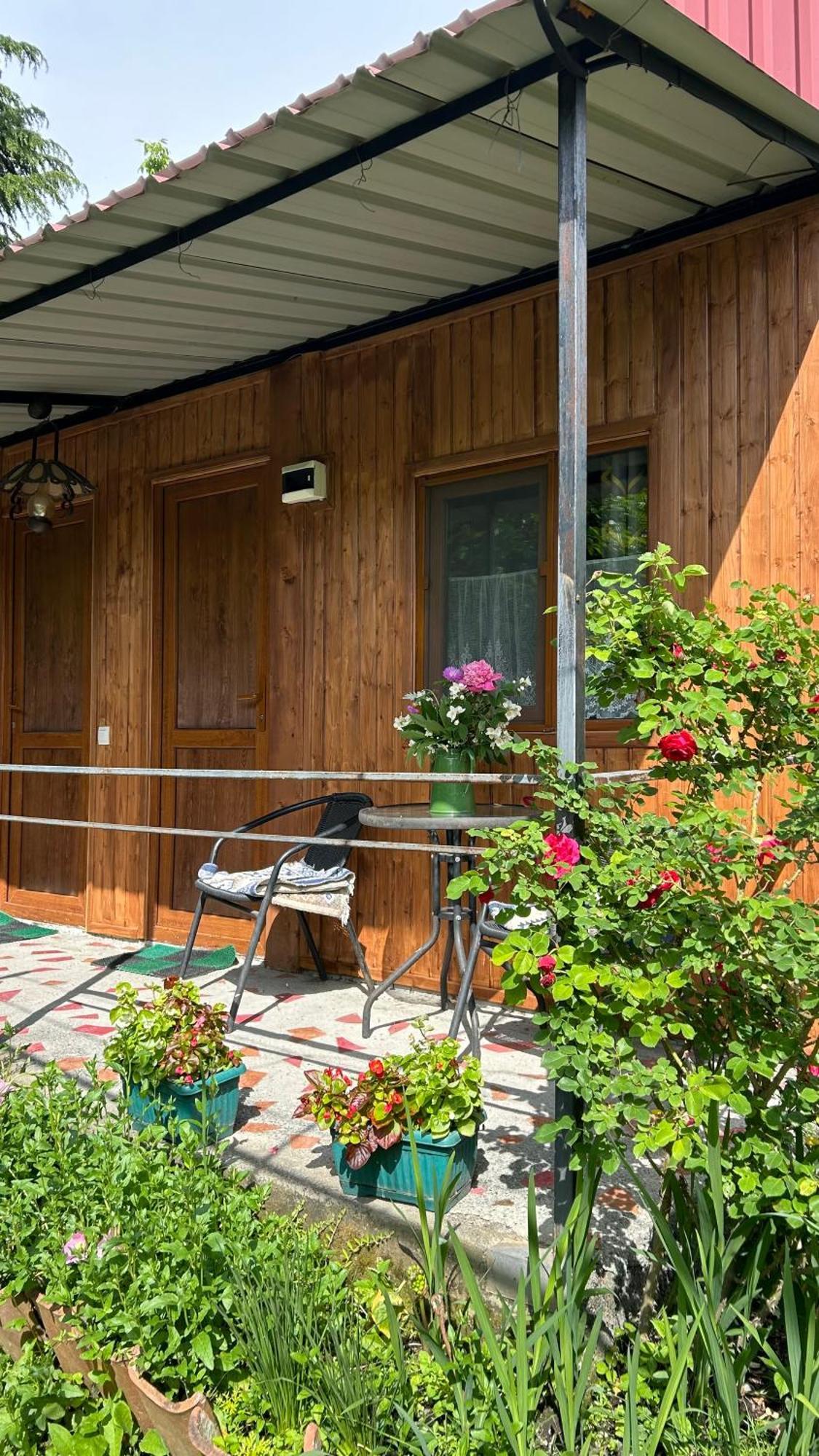 Ludwig Guesthouse Lagodekhi Buitenkant foto