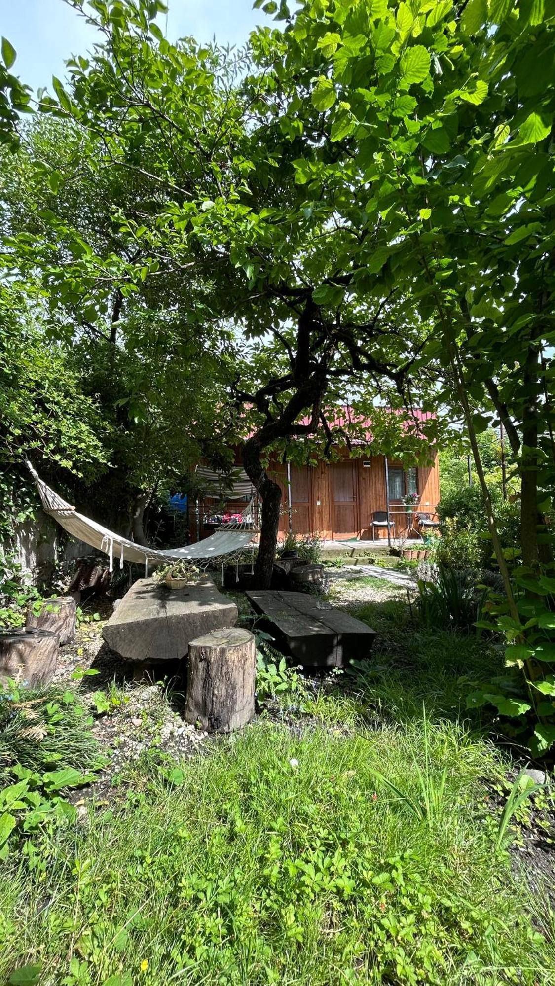 Ludwig Guesthouse Lagodekhi Buitenkant foto