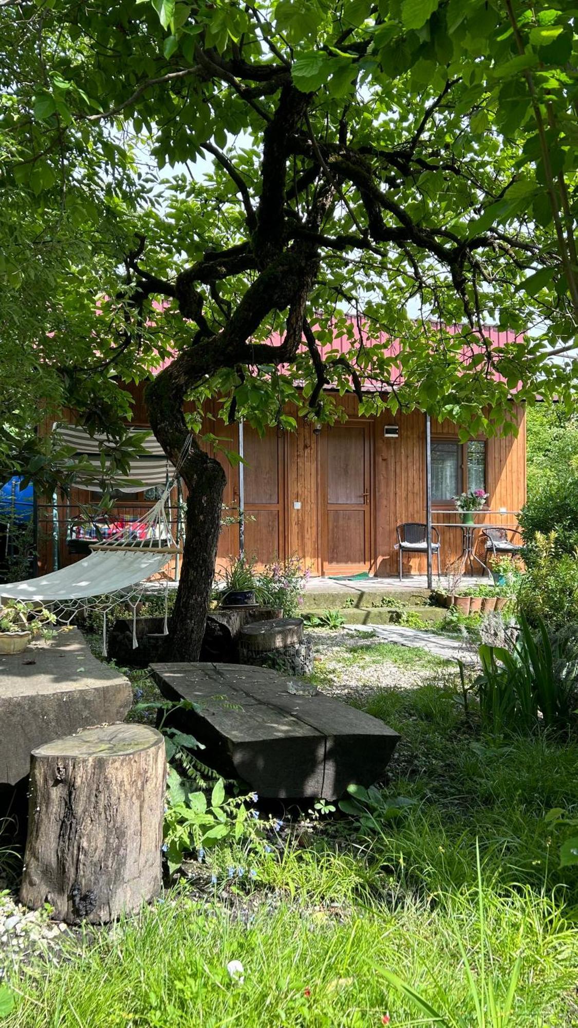 Ludwig Guesthouse Lagodekhi Buitenkant foto