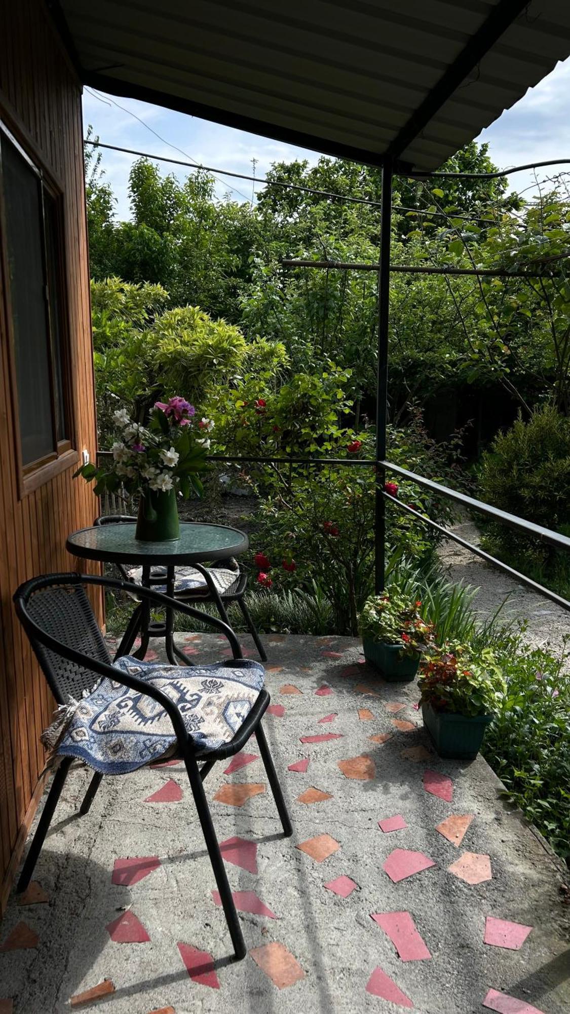 Ludwig Guesthouse Lagodekhi Buitenkant foto
