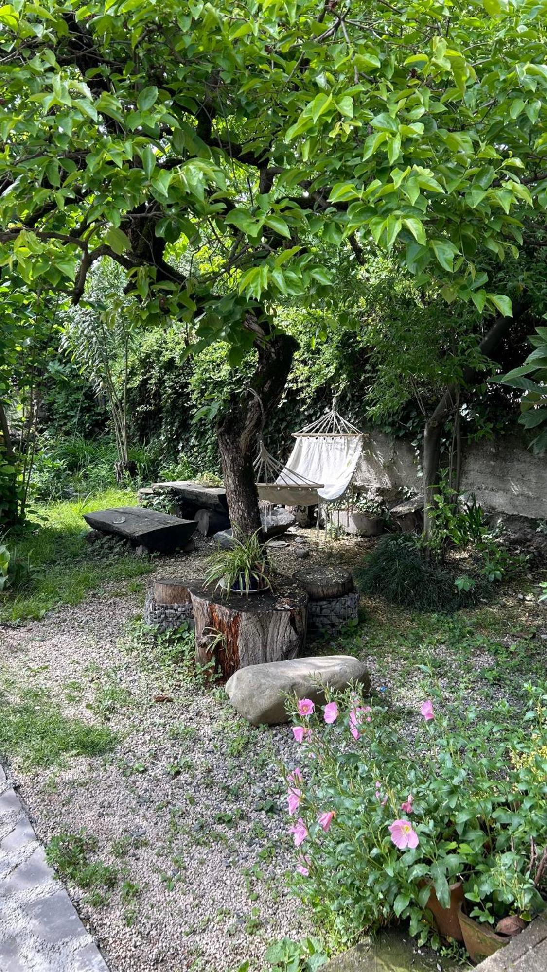 Ludwig Guesthouse Lagodekhi Buitenkant foto