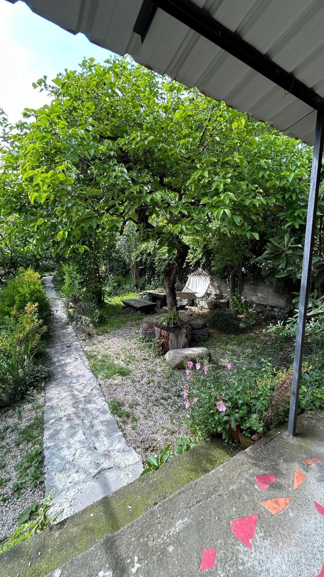 Ludwig Guesthouse Lagodekhi Buitenkant foto