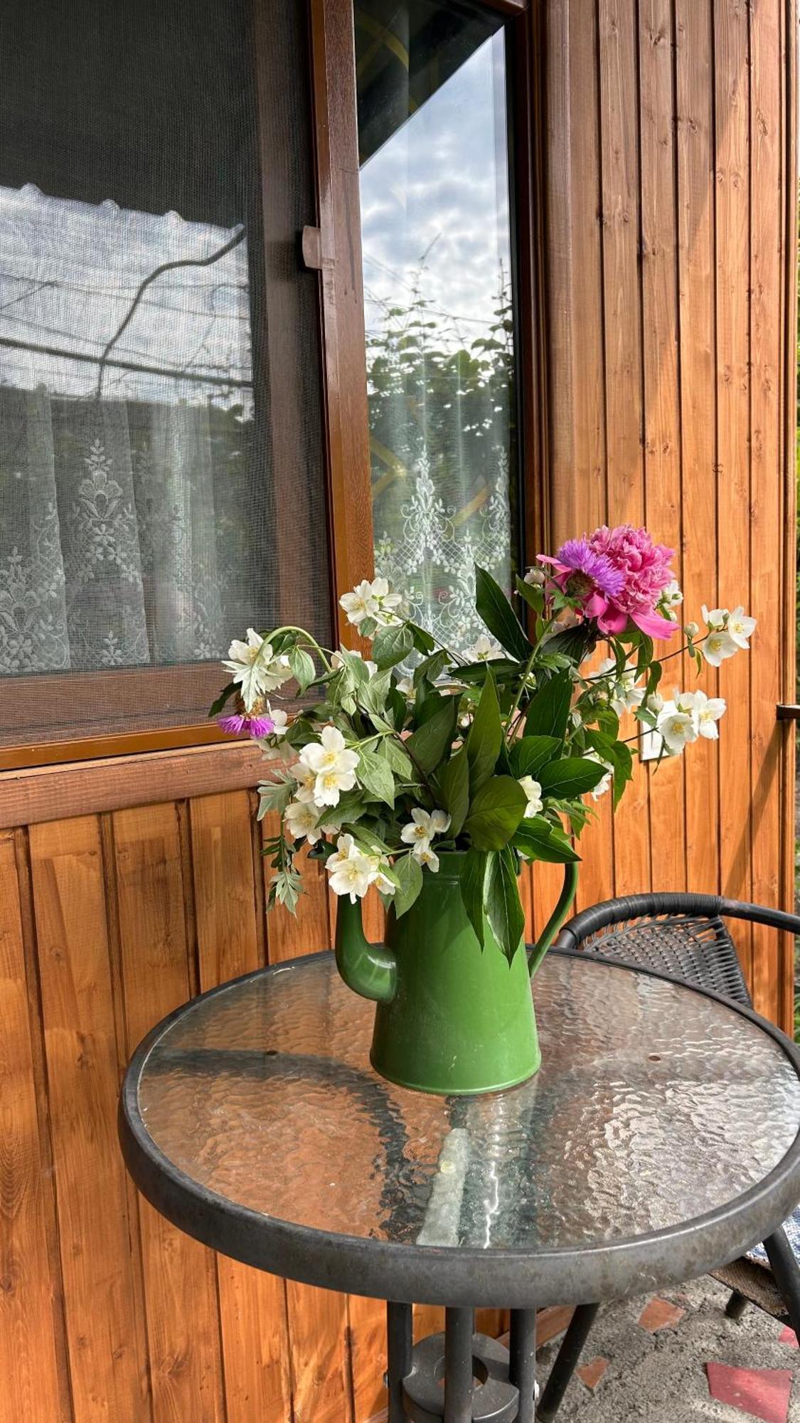 Ludwig Guesthouse Lagodekhi Buitenkant foto