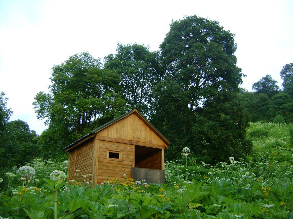 Ludwig Guesthouse Lagodekhi Buitenkant foto