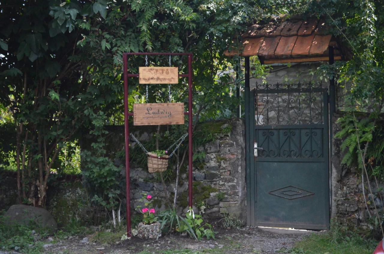 Ludwig Guesthouse Lagodekhi Buitenkant foto